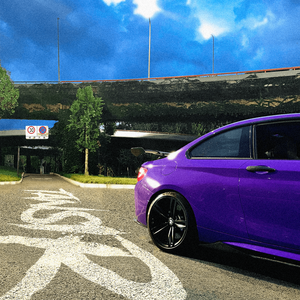 我的好儿媳月月最终身份
