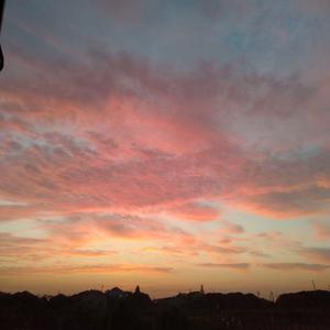 我的好儿媳月月最终身份
