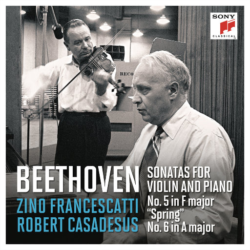 我的好儿媳月月最终身份
